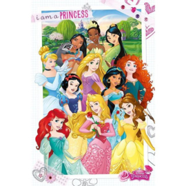 Disney Princess Maxi Poster
