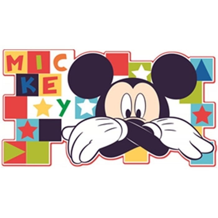 Mickey Mouse Disneykamers