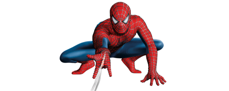 Augment winter Assimilatie Spiderman | Disneykamers