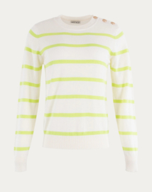 STRIPE TRUI LIME | ANNA BLUE