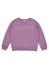 SWEATER AM ROCKY 66 | AMMEHOELA