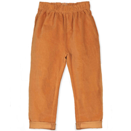 VELVET TROUSER HONEY | LOTIE KIDS