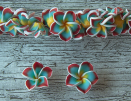 fimo sterbloem in wit-geel-blauw-rood