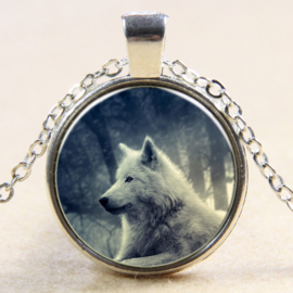 Ketting witte wolf in het bos