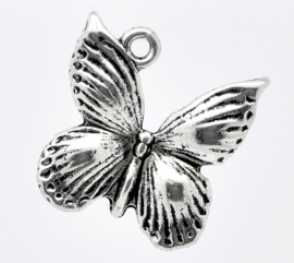Bedel vlinder (gestreept)