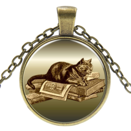 Ketting Soezende kat op boek