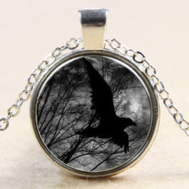 Ketting vliegende raaf