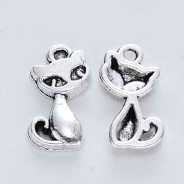 Bedel kat, 5 stuks
