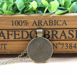 Ketting vlinders met zalmkleurige rozen
