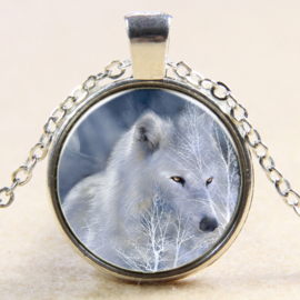 Ketting witte wolf met blauwgrijze achtergrond