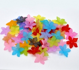 Kleurige bloemenmix mat