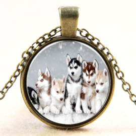 Ketting husky  puppies in de sneeuw