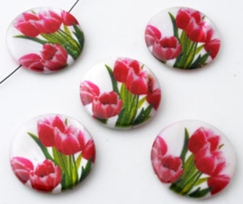 Platte ronde schelpkraal donkerroze tulpen