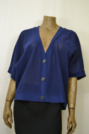 Elsewhere Trui/Vest 20594 blauw