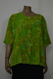 Disini Blouse Marlieke licht groen