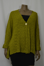 Billy B Vest met knoop  cardi kiwi