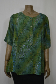 Disini Blouse Magda licht groen