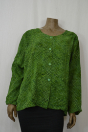 Billy B /Disini Blouse Marlieke lange mouw groen