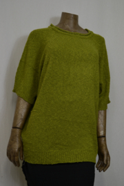 Billy B Pull Wahtu kiwi