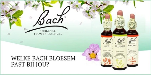 Bachbloesem gebruiksaanwijzing 