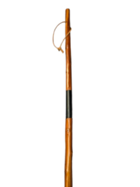 Wandelstok Pieterpad 2 delig