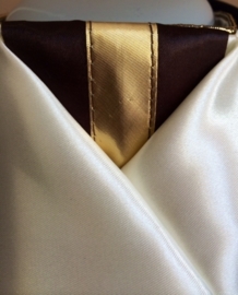 Herenplastron Bram goud