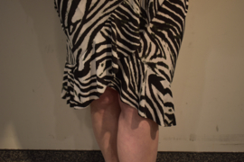 Jurk Print