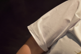 Shirt Scooter