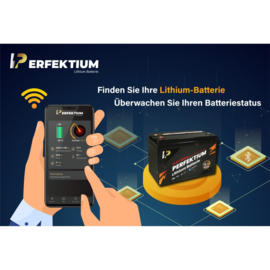 Perfektium PF LiFePo4 12.8V 100Ah Lithium Accu BMS