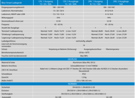 16A, BlueSmart IP22 Ladegerät 24/16 - 1 Anschluss