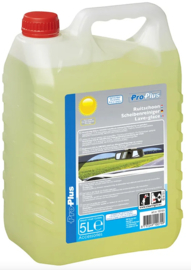 Ruitschoon zomer kant & klaar 5 liter