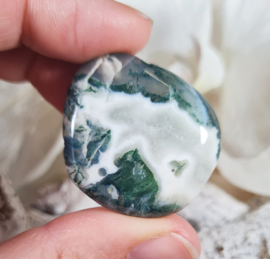 Mosagaat Platte Steen 3,5 cm no.7 Edelsteen