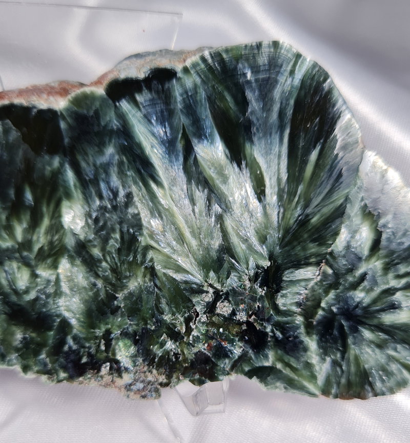 Serafiniet Schijf 10,5 cm no.7