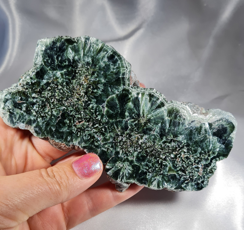 Serafiniet Schijf 13,5 cm no.1