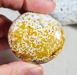 Oceaan Jaspis Handsteen no.7 Edelsteen