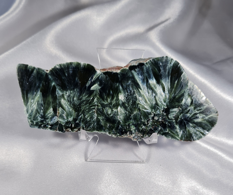 Serafiniet Schijf 10,5 cm no.7