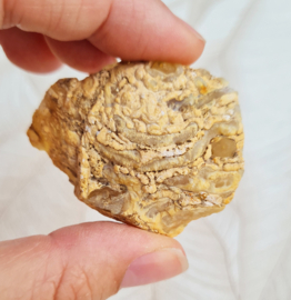 Agaat Geode Druzy Brazilië no.30 - 5 cm