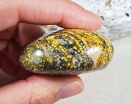 Oceaan Jaspis Handsteen no.8 Edelsteen
