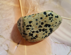 Dalmatiër Jaspis - Trommelsteen - no.1 - L - 4,5 cm