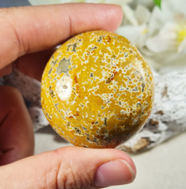 Oceaan Jaspis Handsteen no.2 Edelsteen