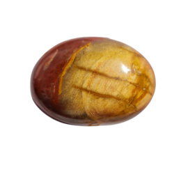 Versteend Hout - no.07 - 4cm - Palmsteen
