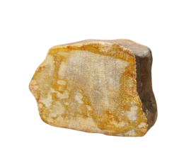 Versteend hout - Java - no.1