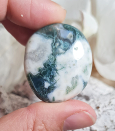 Mosagaat Platte Steen 3,5 cm no.5 Edelsteen