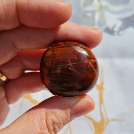 Versteend Hout - no.11 - 3cm - Palmsteen