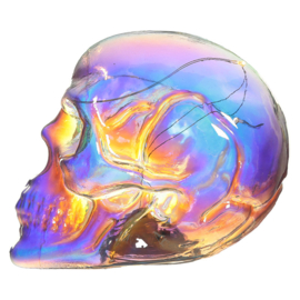 Schedel - Schitter Regenboog LED Schedel - Skull & Bones - 11 cm