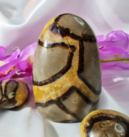 Septarie - Sculptuur - no.1 - 11,5 cm