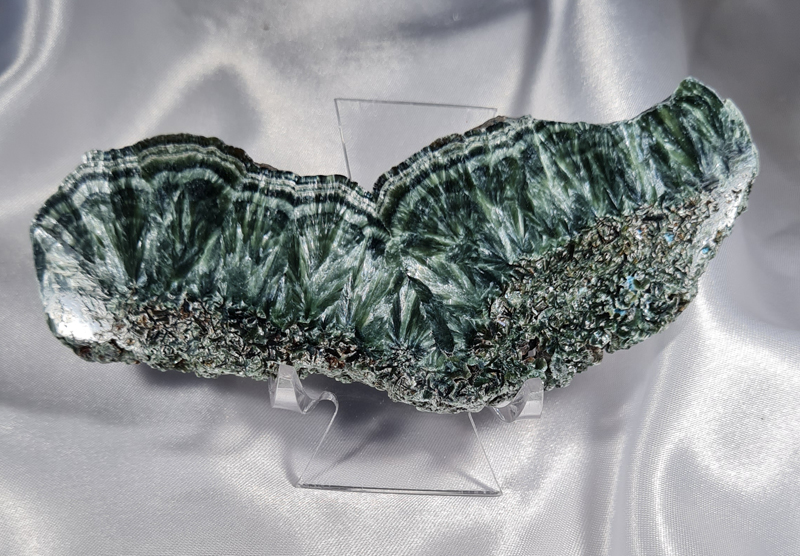 Serafiniet Schijf 11,5 cm no.4