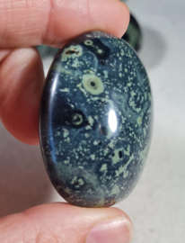 Kambaba Jaspis Handsteen Edelsteen no.5 - 4,5 cm
