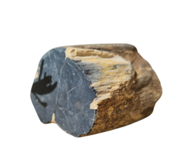 Versteend hout - Java - no.5