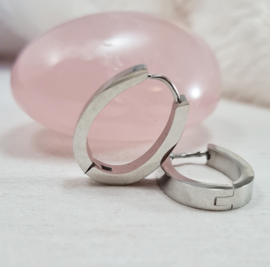 oorbellen - ovaal - RVS